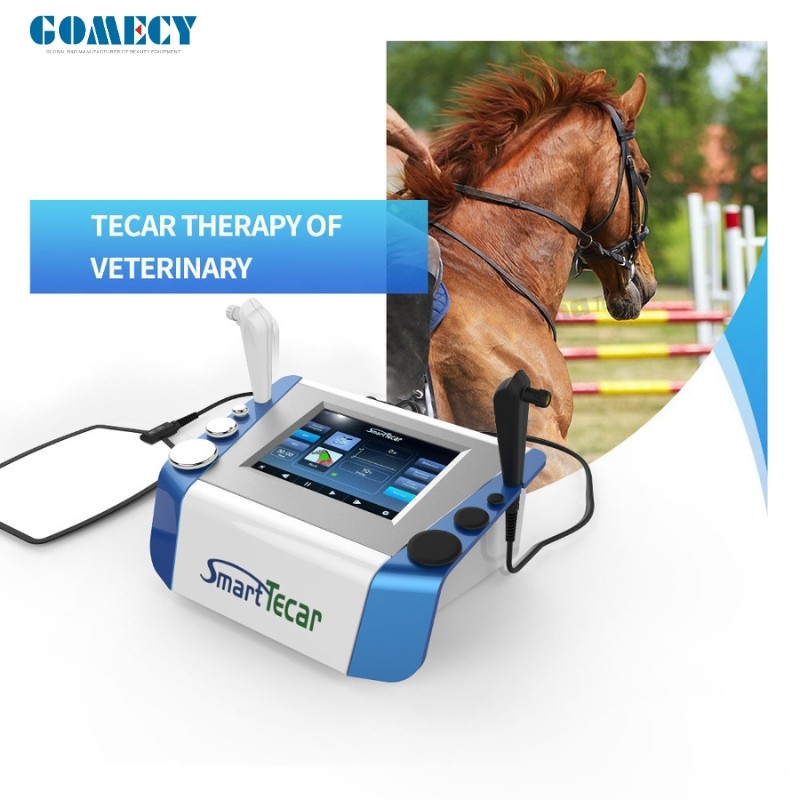 Portable High-Performance Radiofrequency Tecar Therapy for Horse Sports Injuries - Advanced Physiotherapy Treatment