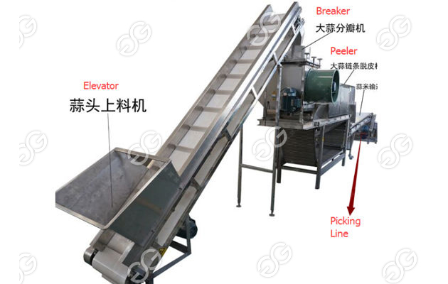 Commerical Garlic separating And Peeling Line Dry Garlic Peeling Machine