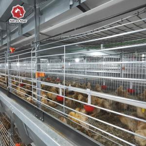China Q235A Baby Broilers Chicken Cage 100*100*220cm Fully Automatic wholesale