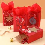 Fancy Holiday Merry Christmas Gift Shopping Luxury Paper Bags with Customized