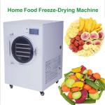 New Design Small Home Freeze Dryer With Great Price
