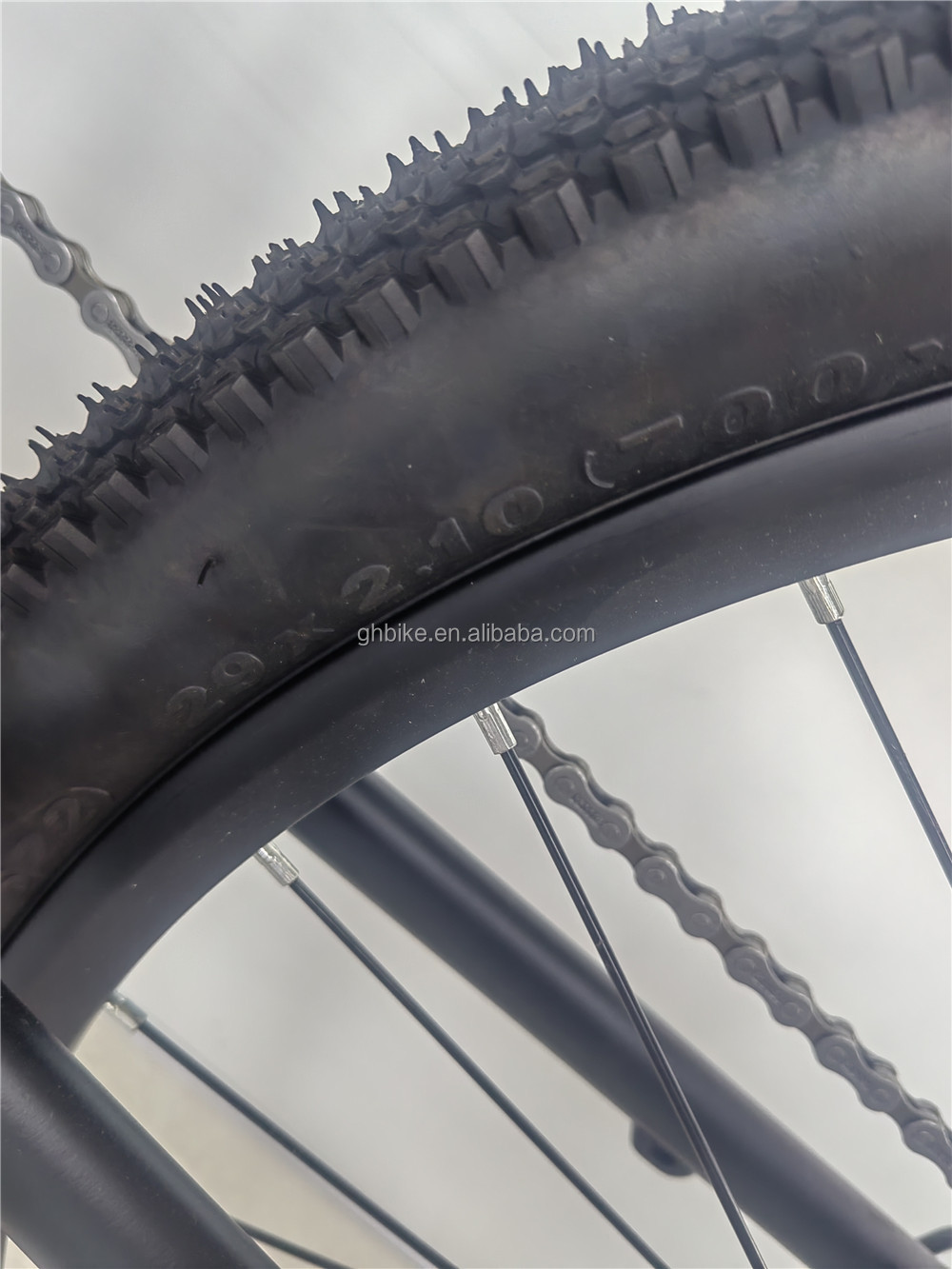 Kenda Tire 29 inch Full Suspension Frame Electric Mountain Bike with 48V 1000W Motor