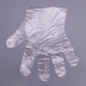 China Embossed Surface Food Touch Disposable Plastic Gloves wholesale