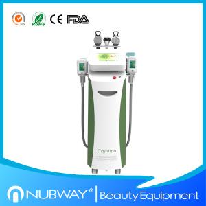 China Lipo laser cryolipolysis machine wholesale
