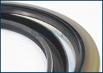 4411535 Hydraulic Oil Seals Fits Swing Device Transmission HITACHI ZH200-A