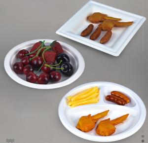 China Made of Natural Sugarcane Fibers Eco Friendly Fully Biodegradable Disposable White Bagasse Plate wholesale