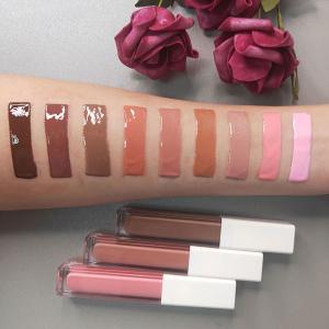 China Logo Pink Nude Clear Lip Gloss Ladies Face Makeup wholesale