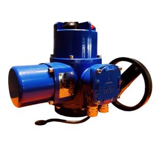 China Intelligent Electric Part Turn Actuator Explosion Proof 3000NM wholesale