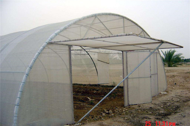 insect nets