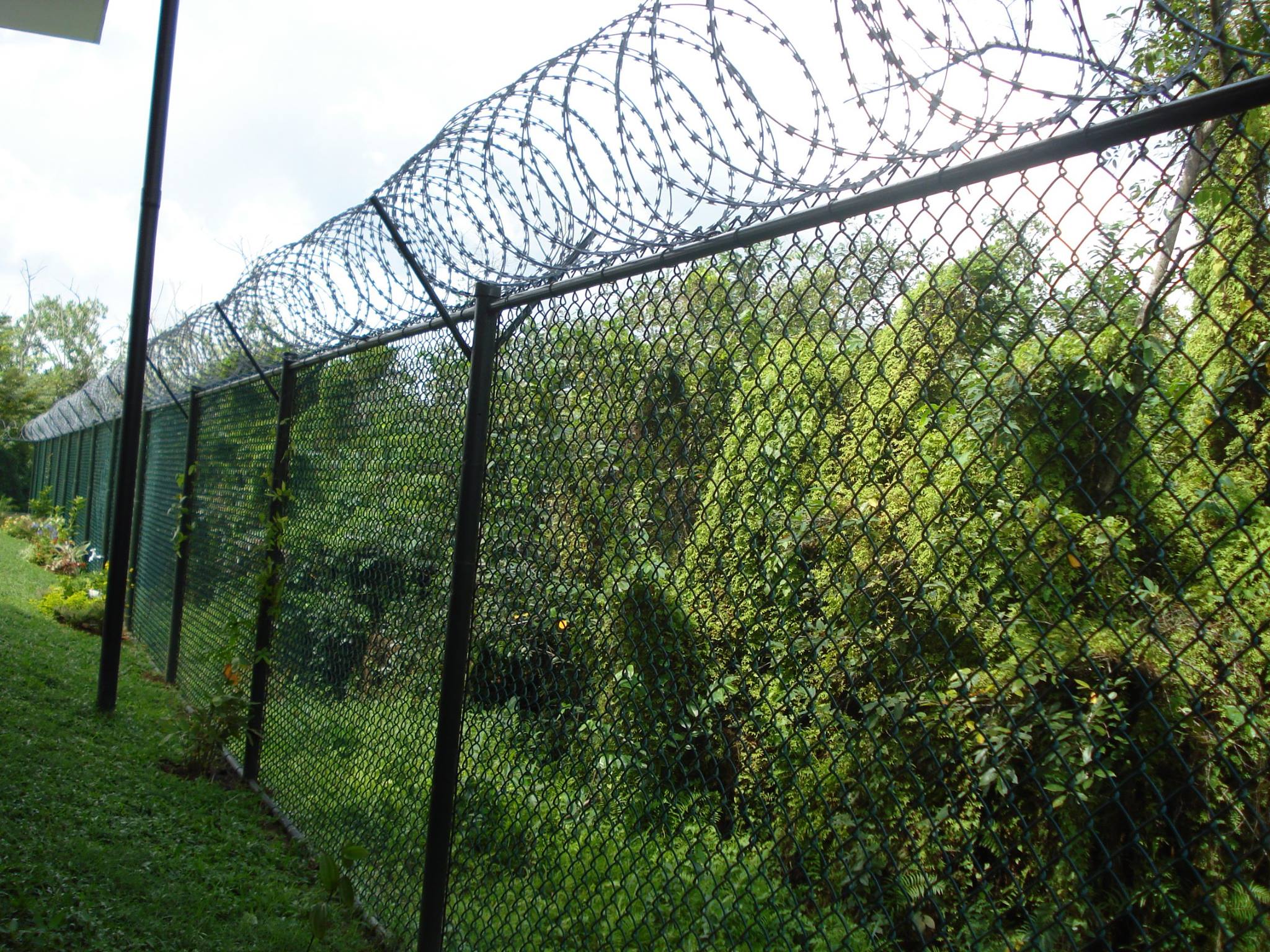 Various Good Quality 8 Foot Boundary Wall Pvc Coated Hot Dipped Industry Galvanized Chain Link Fence For Sale