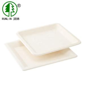 China LFGB Rectangular Biodegradable Sugarcane Disposable Plates For Wedding Parties wholesale