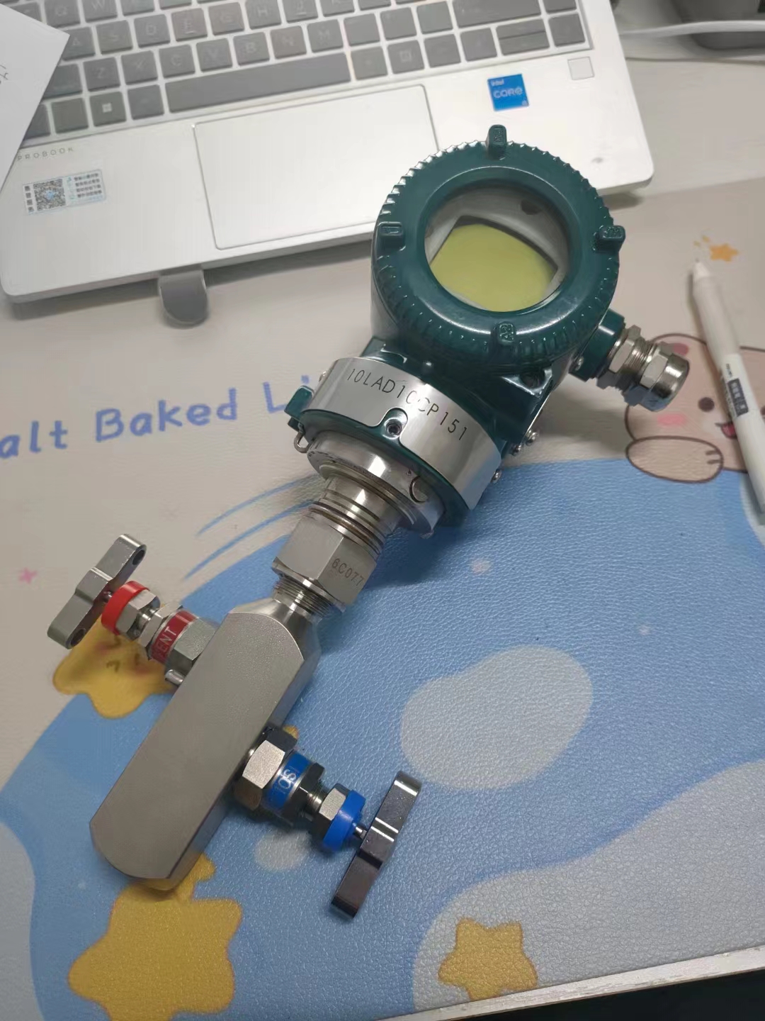 304 Stainless Steel Integrated Two Valve Group Coplanar Flange Mounted Pressure Transmitter
