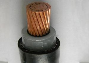 China Cu Fr PVC Sheath Lv XLPE Insulated Power Cable Underground 0.6/1kv wholesale