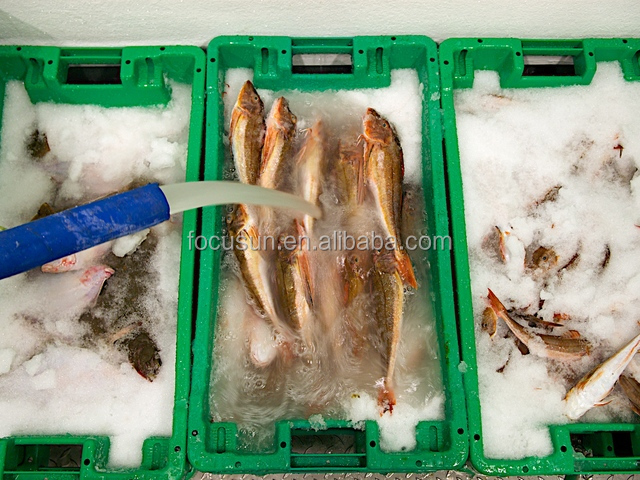 550 KG Slurry Ice Machine The Ultimate Cooling Solution for Fishing Industry