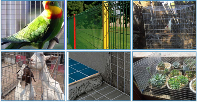 Green White Color 2mm Steel Weld Mesh Panels Pvc Coated Pre Galvanized For Fence