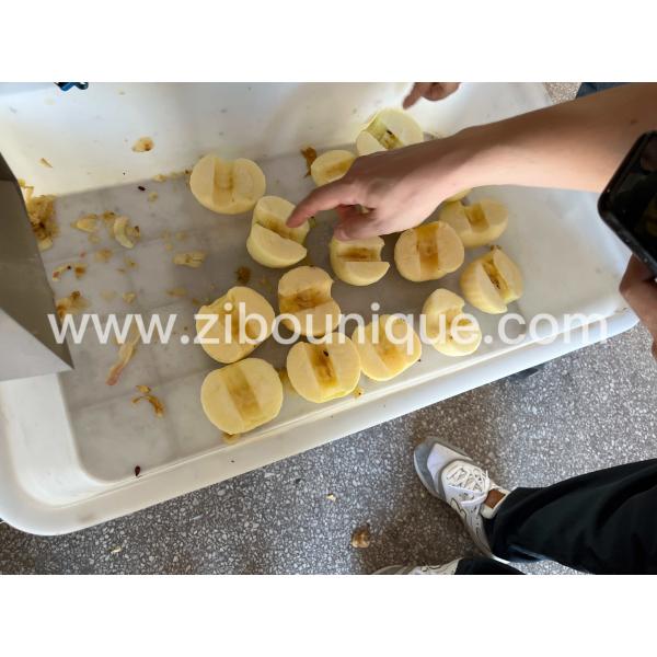 Fast Peeling Electric Apple Peeler and Corer Machine for Perfectly Prepared Fruit