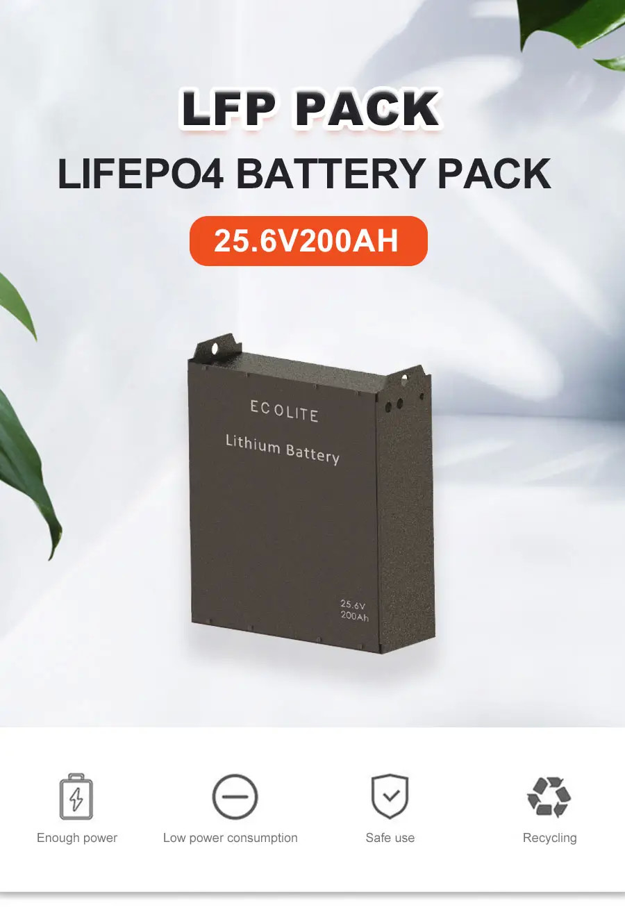 24V 48V 51.2V LiFePo4 Battery Pack 200Ah Forklift Traction Battery Industrial Lithium Battery