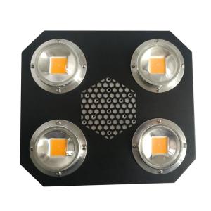 China Rikolite 780nm Plant Led Grow Lights Indoor UV Flip Cob Aluminum Alloy AC855V wholesale