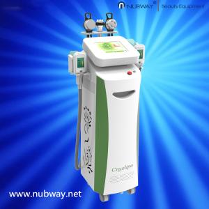 China Wholesale price high performance best quality 5 handles cryolipolysis device for sale wholesale
