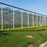 Wholesale China Supplier Large Multi Span Intelligent Horticulture Commercial