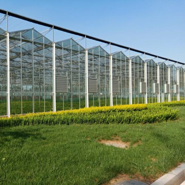 Wholesale China Supplier Large Multi Span Intelligent Horticulture Commercial