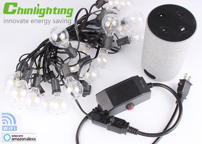 G40 2.4GHZ Wifi Commercial LED String Dimmable Smart Lights