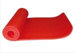 Anti Slip Home Yoga Mat / Fitness Exercise Mat Thickness Optional For Ladies