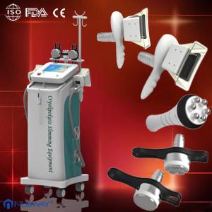 China Professional Weight Loss Cryolipolysis slimming machine Equipment, 110-220vac 1800W wholesale