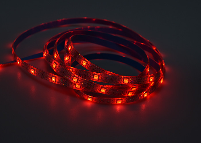 24key Remote Smd5050 3.6W/M Alexa Led Strip Light