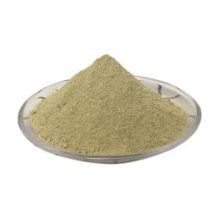 China Scallion Chicken Seasoning Powder Elevate Your Cooking Game wholesale