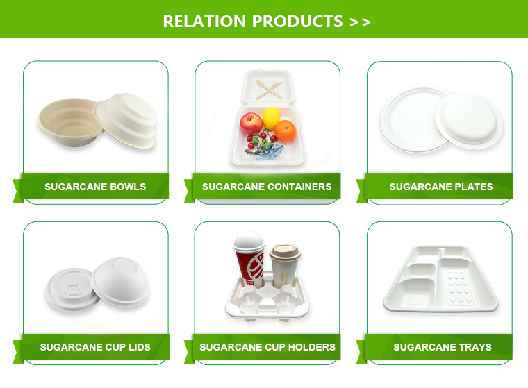 Eco Friendly Disposable 160mm Biodegradable Cutlery Set For Wedding Event