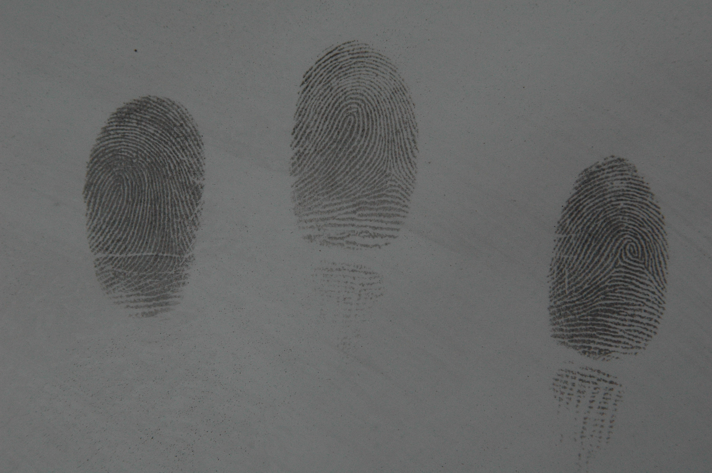 C099 Gray magnetic fingerprint powder