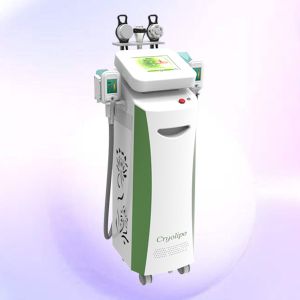 China China hot sale slimming beauty machine 5 handles multifunctional cryolipolysis wholesale