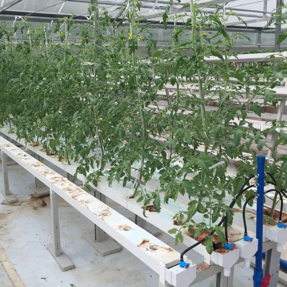 Soilless Indoor Farming Strawberry Growing PVC Tube For Hydroponics NFT System For Sale