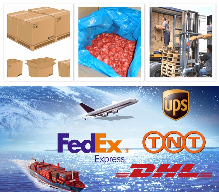ISO Certified companies manufacturers lyophilized fruit freeze dried apple
