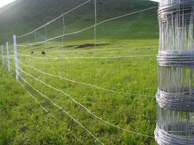Goat Farm Fence Hot Dipped Galvanized Hinge Joint Knot Field Fence