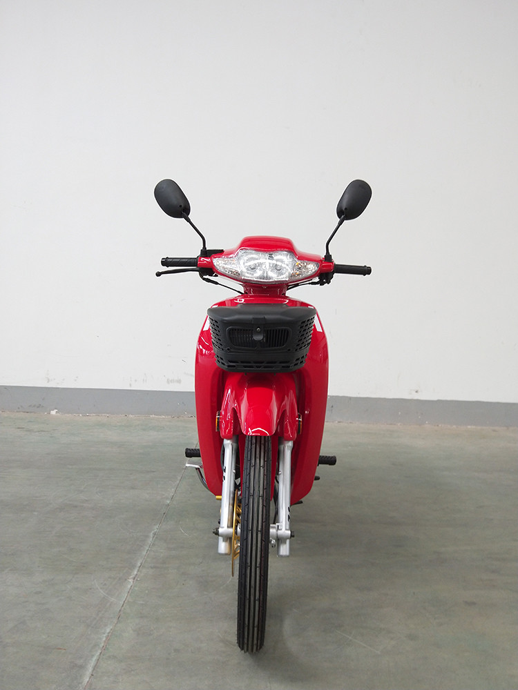 1960×690×1140mm Cub Racing Mortorcycle Business 1310mm Wheel Base