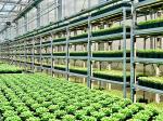 IP65 Aluminum Vertical Farm ETL 400w LED Grow Light