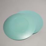 Customized Logo BPA Free Plastic Food Tray