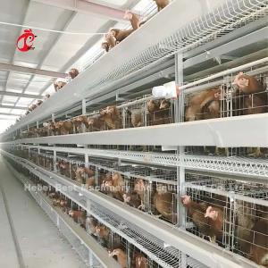China Angle Iron Poultry Breeding Cage System For Nigeria Zambia Kenya Ghana Cameroon Sudan Gambia Nambia Market wholesale