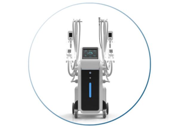 3 years warranty beauty instrument cryolipolysi fat removal slimming cryo