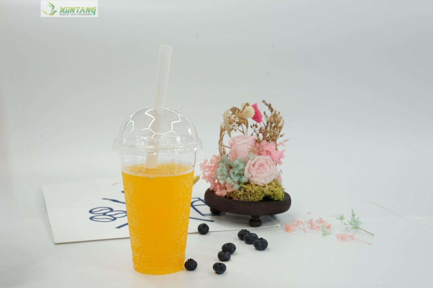 Pointed Biodegradable PLA Straws 12x230mm With Paper Wrap