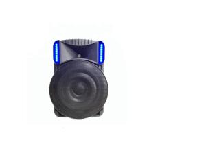China 18 Inch Active USB Trolley Powerful Portable Speakers wholesale
