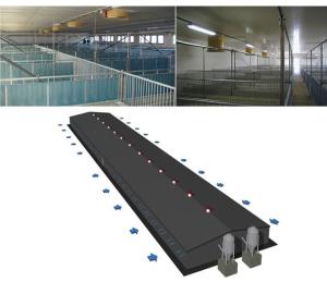 China cooling pad|exhaust fan|poultry fan|cone fan wholesale