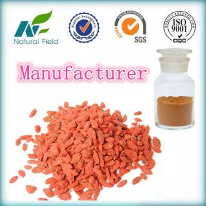 China suppliers ISO &amp; HACCP wolfberry extract powder wholesale