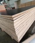 Poplar Pp laminated plywood formwork plywood