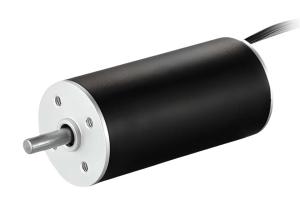 China 22mm Slotless Brushless DC Motor 36V 16768rpm Customizable Lightweight wholesale