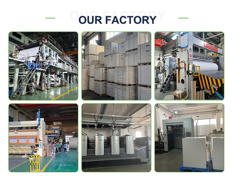 Complete Specifications Offset Bond Paper for Compatible Printing and Acceptable OEM