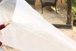 Extra Large Clear Bags, Thick Big Jumbo Size Poly Storage Bags, Christmas Tree