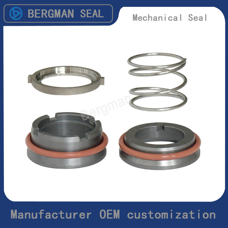 Bergman OEM W01 W02 W03 Rotor Pump Sanitary Pumps Food Pumps Seals Mechanical Seal